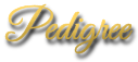 Pedigree